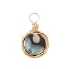 Natural Abalone Shell/Paua Shell Pendants X-PALLOY-JF00457-01-2