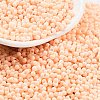 Baking Paint Glass Seed Beads SEED-A033-04J-1