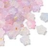 Frosted Acrylic Charms OACR-M023-04G-1