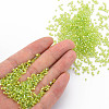 Glass Bugle Beads SEED-S032-10A-164-5