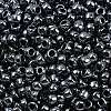TOHO 6/0 Round Beads SEED-TR06-0081-3