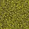 TOHO Round Seed Beads SEED-XTR11-1013-2