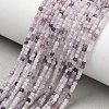 Natural Lepidolite Stone Beads Strands G-RM241221-K14-1