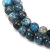 Round Natural Apatite Beads Strands G-K068-02-6mm-01-3