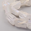 Electroplated Natural Quartz Crystal Beads Strands G-D0009-01B-08-3