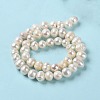 Natural Cultured Freshwater Pearl Beads Strands PEAR-E018-14-3