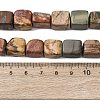 Natural Picasso Stone/Polychrome Jasper Beads Strands G-D098-D02-5