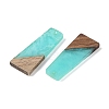 Resin & Wood Pendants WOOD-F015-04E-2
