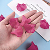 Transparent Acrylic Beads BSF796-C16-7