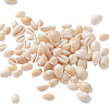 Natural Cowrie Shell Beads BSHE-CJ0002-01-3