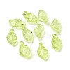 Transparent Acrylic Charms TACR-G041-01A-3