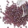 TOHO 6/0 Round Beads SEED-TR06-0166B-1