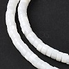 Natural Freshwater Shell Beads Strands SSHEL-C013-04B-3