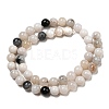 Natural Agate Beads Strands G-R494-A18-03-2