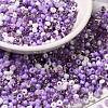 Opaque & Transparent Inside Colours Glass Seed Beads SEED-F004-01D-1