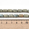 Natural Variscite Beads Strands G-N346-01B-14-5