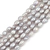 Natural Cultured Freshwater Pearl Beads Strands PEAR-P064-20E-04E-2