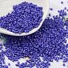 Baking Paint Glass Seed Beads X-SEED-S042-05B-74-1