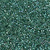 MIYUKI Delica Beads SEED-X0054-DB0060-3