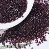 MIYUKI Delica Beads X-SEED-J020-DB0296-1