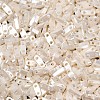 MIYUKI Quarter TILA Beads X-SEED-J020-QTL592-2
