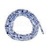 Natural Blue Spot Jasper Beads Strands G-A252-A02-01-3