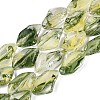 Handmade Lampwork Beads Strands LA-N046-02F-1