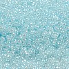 Ceylon Glass Seed Beads SEED-K009-02B-33-3