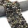 Natural African Turquoise(Jasper) Beads Strands G-P573-A28-01-1