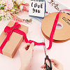 Single Face Velvet Ribbons OCOR-WH0080-14D-01-3