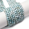 Natural Larimar Beads Strands G-F803-C01-02-2