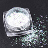 Holographic Chunky Glitter Nail Art Pigment Dust MRMJ-S015-009L-1