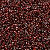 MIYUKI Round Rocailles Beads X-SEED-G008-RR4513-2
