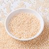 MIYUKI Round Rocailles Beads X-SEED-G008-RR2217-2