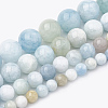 Natural Aquamarine Beads Strands G-S333-12mm-003-2