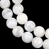 Natural Selenite Beads Strands G-G167-A02-01-4