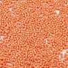 Baking Paint Glass Seed Beads X-SEED-S042-05B-83-3