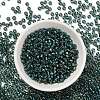 TOHO 6/0 Round Beads X-SEED-TR06-0270-2
