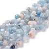 Natural Aquamarine  Beads Strands G-H243-08-1