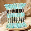 10 Skeins 6-Ply Polyester Embroidery Floss OCOR-CY0004-38E-5