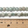 Natural Amazonite Beads Strands G-P575-C12-6mm-5
