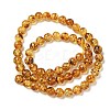 Natural Amber Beads Strands G-K387-D02-01-4