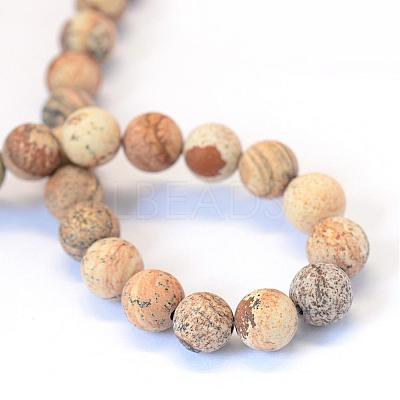 Frosted Natural Picture Jasper Round Bead Strands G-E334-8mm-26-1