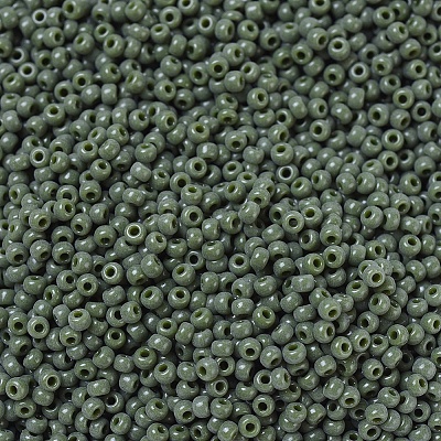 MIYUKI Round Rocailles Beads SEED-G007-RR0501-1