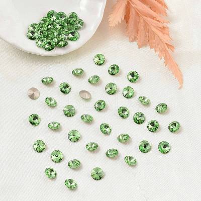 Preciosa&reg MAXIMA Crystal Round Stones X-PRC-RASS47-50520-1