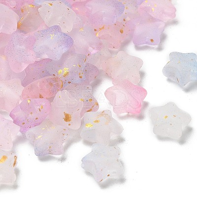 Frosted Acrylic Charms OACR-M023-04G-1