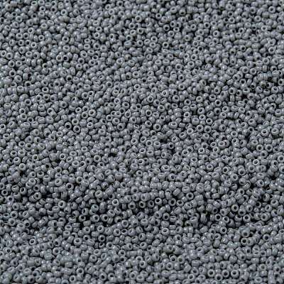 MIYUKI Round Rocailles Beads SEED-G009-RR0499-1