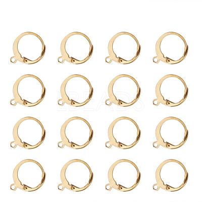 304 Stainless Steel Leverback Earring Findings A-STAS-G081-62G-1