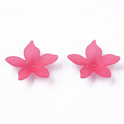 Transparent Acrylic Beads X-MACR-S373-127-D-1