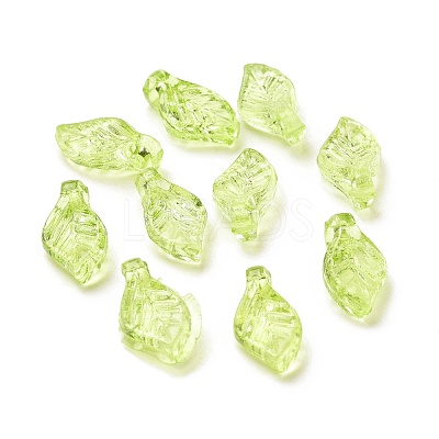 Transparent Acrylic Charms TACR-G041-01A-1